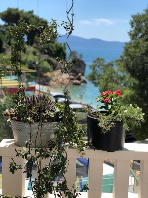Villa Bosac Gradac  Esterno foto